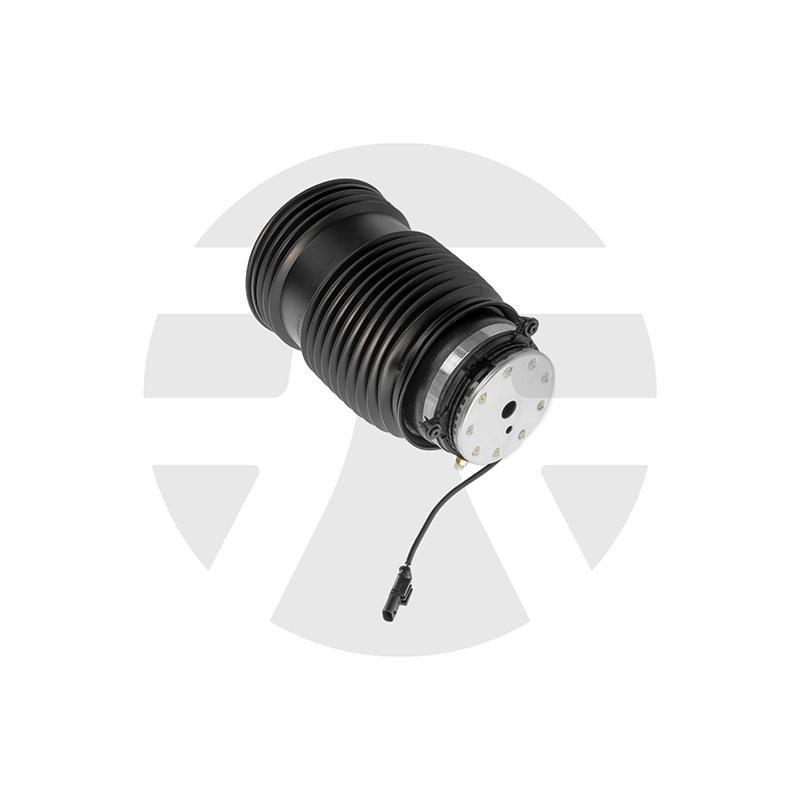 Rear Left Air Spring for Mercedes-benz E-Class W213 2016-2023 A2133200125