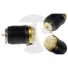 Audi A6 C6 (4F) Rear Air Spring