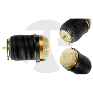 Audi A6 C6 (4F) Rear Air Spring