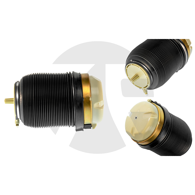 Audi A6 C6 (4F) Rear Air Spring