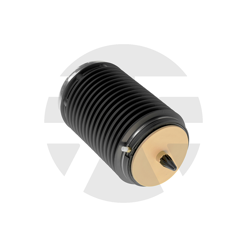 AUDI A6, RS6, S6 C7 Rear Right air spring