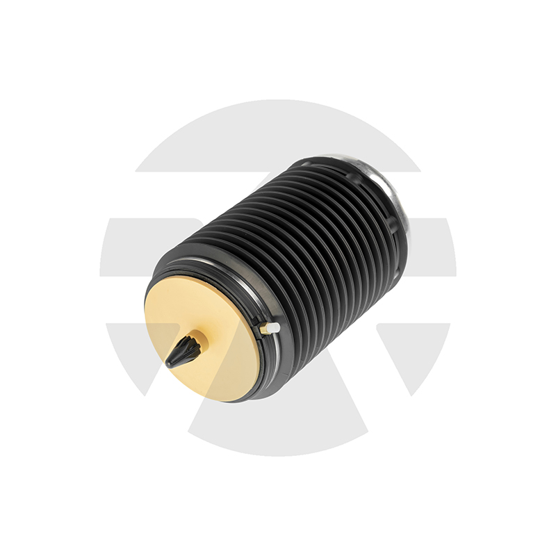 AUDI A6, RS6, S6 C7 Rear Left air spring