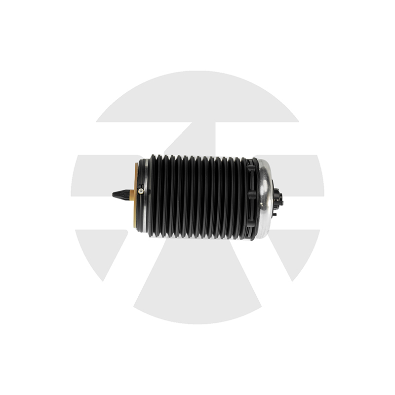 AUDI A6, RS6, S6 C7 Rear Left air spring