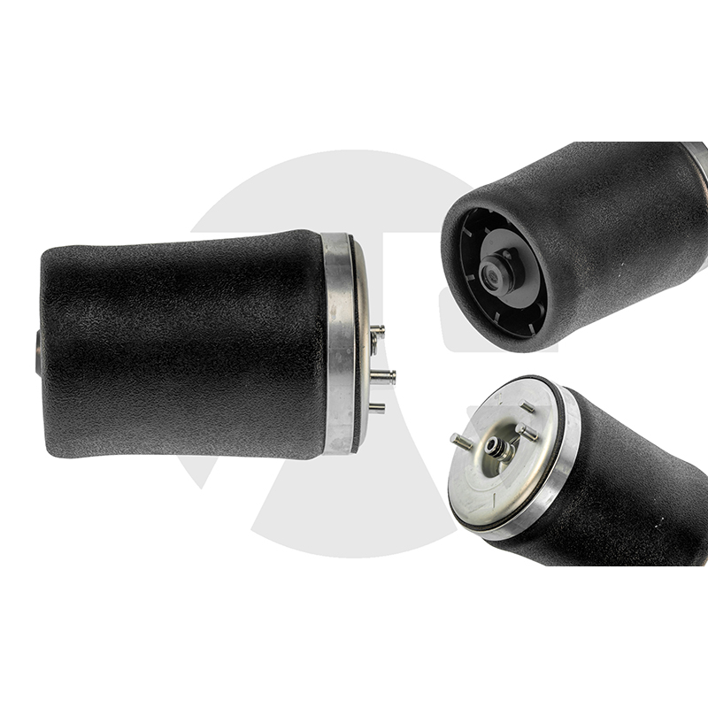 Rear Left Air Spring for BMW X5 E53 2000-2006 37121095579