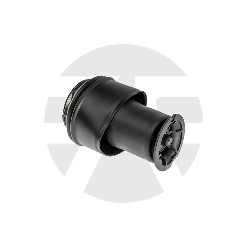 Citroen C4 Picasso/Grand Picasso Rear Air Spring