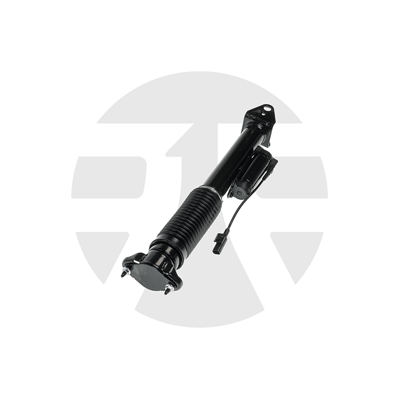 Rear Left/Right Shock Absorber for Mercedes-Benz ML-Class W166 with ADS 2012-2015 A1663200930