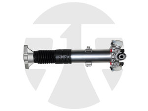 Rear Left/Right Suspension Strut for Mercedes-Benz GLS-Class W167 2019-2021 with ABC A1673206104