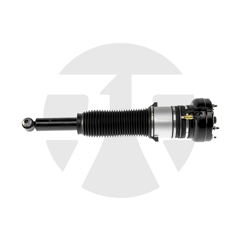 Rear Left/Right Air Suspension Strut for Audi A8 D4 (4H) with ADS 2009-2017 4H0616001M