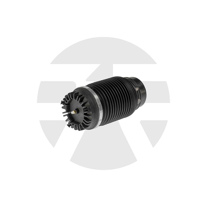 Dodge Ram 1500 Rear air spring