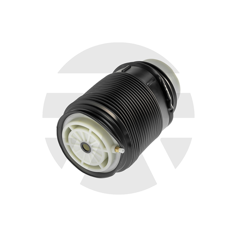 Rear Right Air Spring for Mercedes-benz E-Class W212 2009-2016 A2123204425