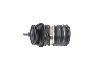 Rear Left/Right Air Spring for ZEEKR 001 2021-2023 6600138381